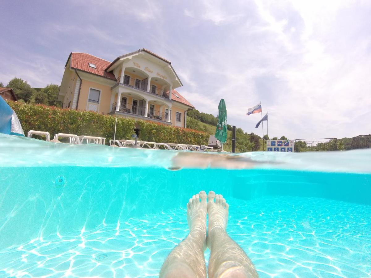Vila Silva Marija Apartments Pišece Eksteriør bilde