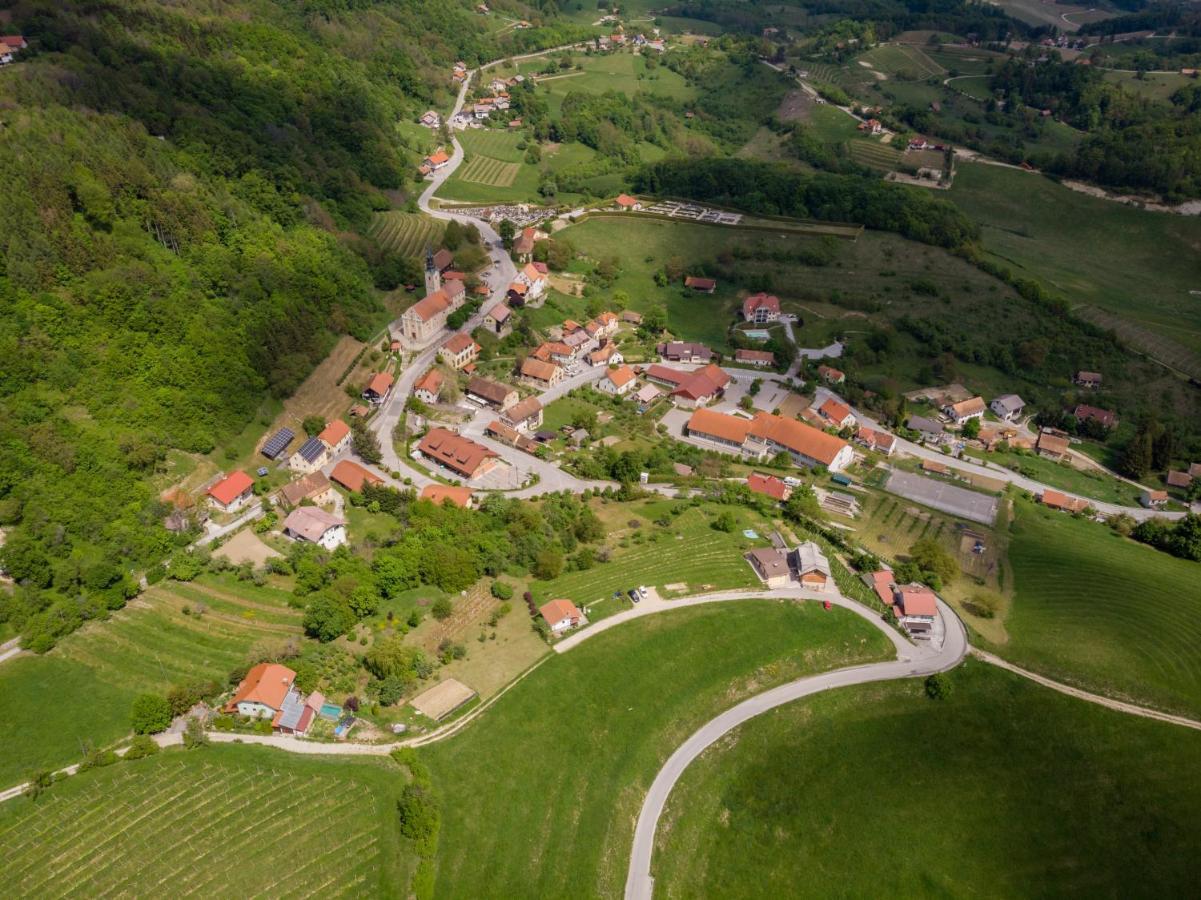 Vila Silva Marija Apartments Pišece Eksteriør bilde